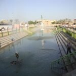 171687859566557d0353588