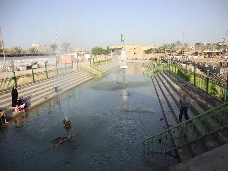 171687859566557d0353588