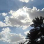 IMG_٢٠٢٦٠٤٢٠_٢١٥١٤١_894