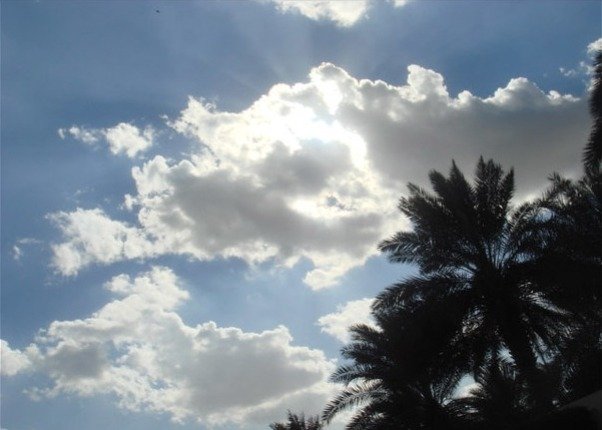 IMG_٢٠٢٦٠٤٢٠_٢١٥١٤١_894
