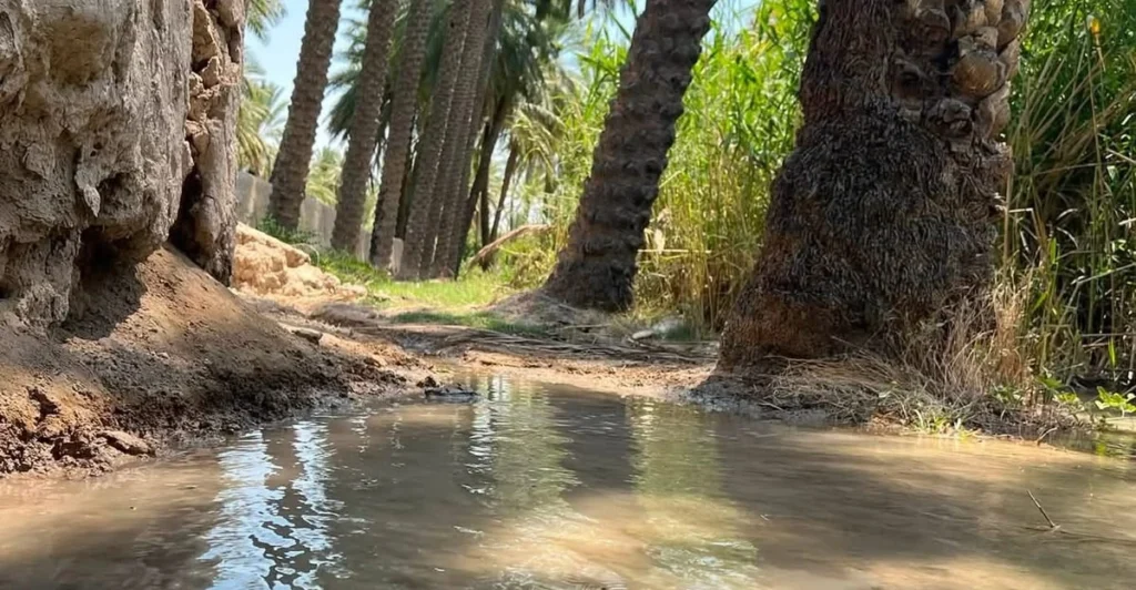 بعد-25-سنة-من -الجفاف.-بساتين-مندلي-تتنعش-بإطلاقات-مائية-عابرة-للحدود
