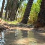 بعد-25-سنة-من -الجفاف.-بساتين-مندلي-تتنعش-بإطلاقات-مائية-عابرة-للحدود