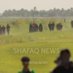 بين-سنابل-“الشلب”-والنخيل.-زوار-الأربعينية-يشقّون-طريقهم-نحو-‏كربلاء-(صور)