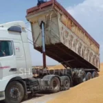 نينوى-تلغي-قيود-نقل-الحنطة-وتسمح-بتداولها-باتجاه-باقي-المحافظات