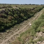 العطش-يضرب-40-قرية-جنوب-ديالى-ومطالبات-عاجلة-بإنقاذ-نهر-خريسان