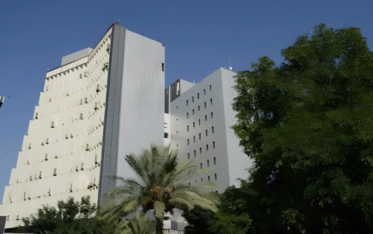 وزير-المالية-يكلف-مديرا-جديدا-لدائرة-تكنولوجيا-المعلومات