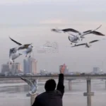 العراق.-انخفاض-متوقع-بدرجات-الحرارة-بعد-منتصف-آب