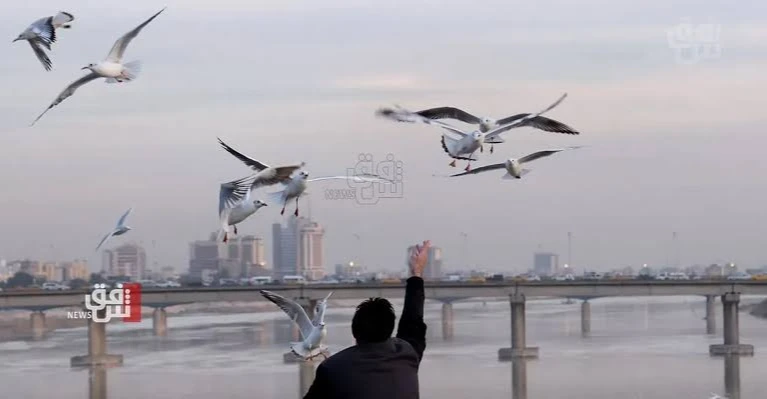العراق.-انخفاض-متوقع-بدرجات-الحرارة-بعد-منتصف-آب