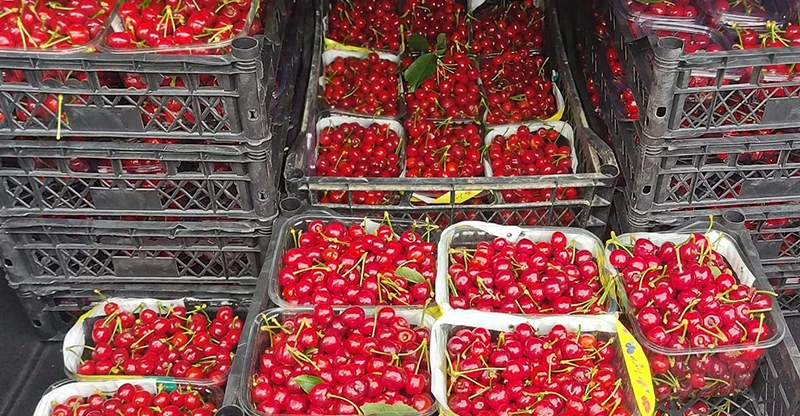العراق-يعزز-حضوره-بين-أبرز-أسواق-الكرز-التركي