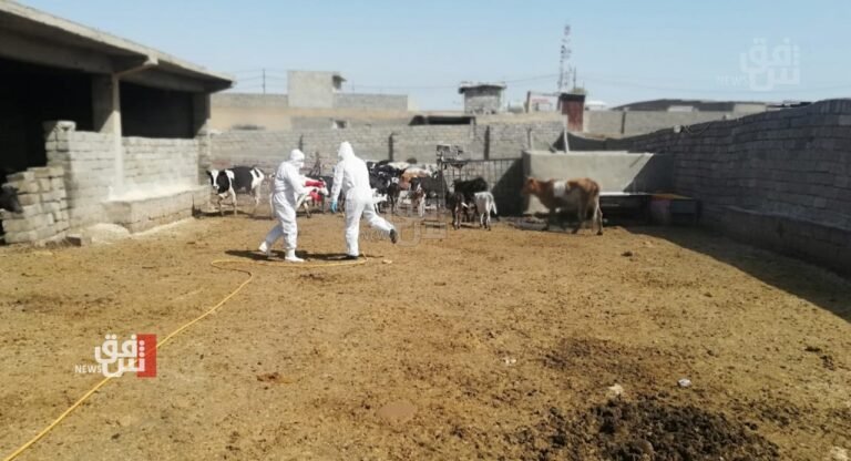 نينوى-تسجل-إصابة-مؤكدة-جديدة-بمرض-“الحمى-النزفية”