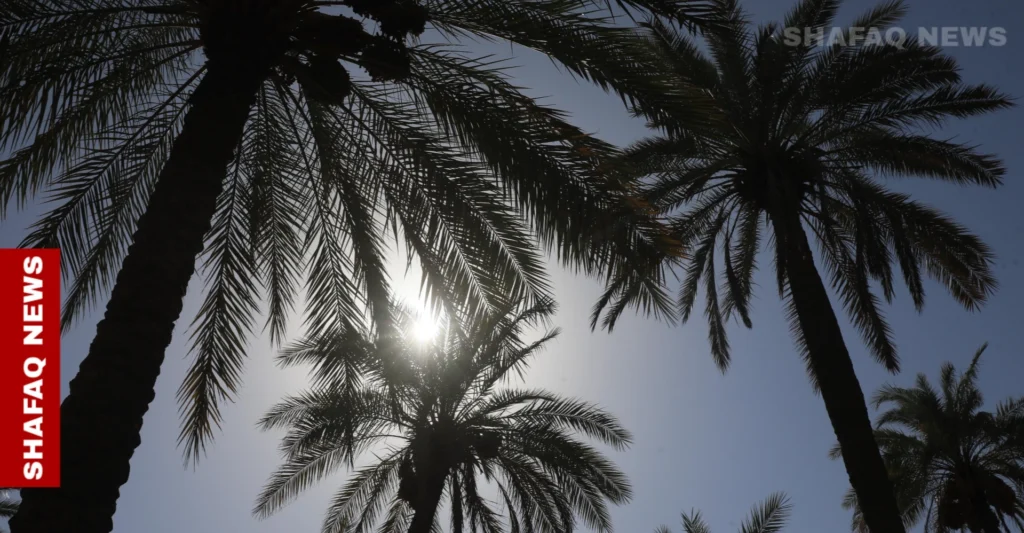 حظر-ودعم.-خطة-عراقية-لتعزيز-المنتج-المحلي