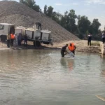 زراعة-نينوى-تطلق-400-ألف-إصبعية-“كاربي”-في-دجلة-(صور)