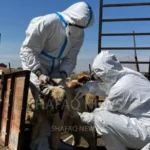 تسجيل-إصابة-جديدة-بالحمى-النزفية-جنوبي-الموصل