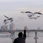 تبدأ-غداً.-كتلة-هوائية-تلطف-أجواء-العراق
