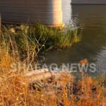 يتسبب-بـ13-مرضاً-خطيراً.-العراق-الأخضر:-معالجة-تلوث-دجلة-والفرات-تتطلب-عقوداً