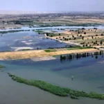 الكشف-عن-خطة-مائية-لزيادة-الزراعة-في-الأنبار