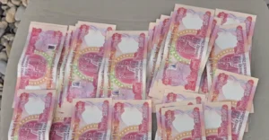 منفذا-الشيب-والشلامجة-يضبطان-مسافرين-بحوزتهما-عملة-مزيفة